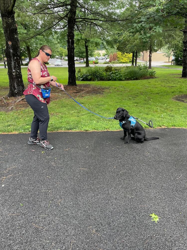 Lindsay and guide dog Posy training where the grass meets blacktop