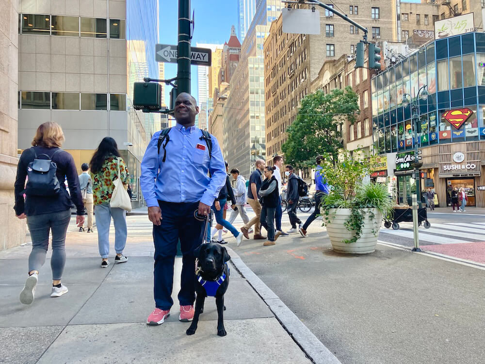 Renard and black Lab Krissy walk down a busy NYC sidewalk on a sunny October day