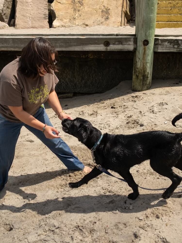 Pup Vern plays on the beach with raiser Paloma