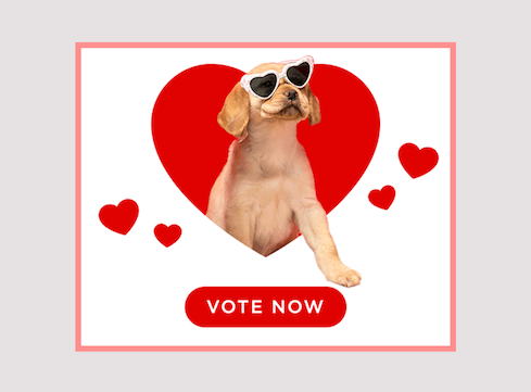 Yellow lab puppy steps out of red heart graphic wearing heart sunglasses above red floating hearts and vote now button