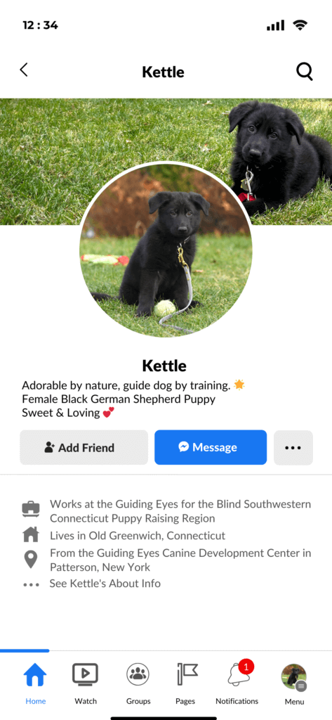 Black German Shepherd Kettle's Facebark page imitating the look of a Facebook page