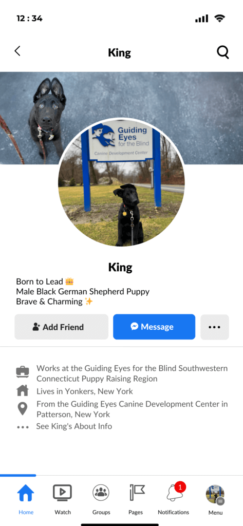 Black German Shepherd King's Facebark page imitating the look of a Facebook page