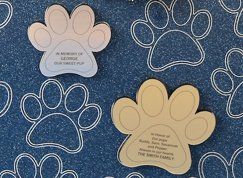 Samples of silver and gold toned paws against blue Paws of Fame backdrop