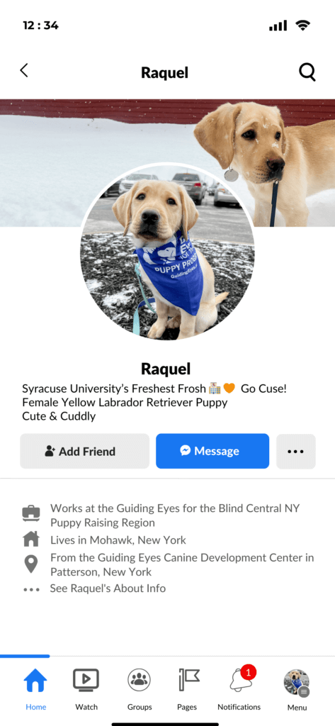 Screenshot of a Facebook profile of Raquel, a young female yellow Labrador Retriever puppy. In Raquel's banner image, she stands in the snow, presenting her side profile with her head turned towards the camera. The profile picture shows Raquel seated in snow-patched grass, wearing a Guiding Eyes bandana, her gaze directed towards the camera with a sense of warmth and curiosity. Bio: Syracuse University’s freshest frosh. Go Cuse! Cute and cuddly. About: Works at the Guiding Eyes for the Blind Central New York Puppy Raising Region. Lives in Mohawk, New York. From the Guiding Eyes Canine Development Center in Patterson, New York.