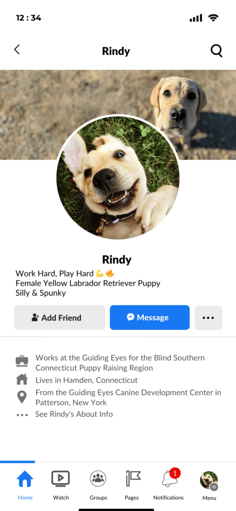 Yellow Lab Rindy's Facebark page imitating the look of a Facebook page