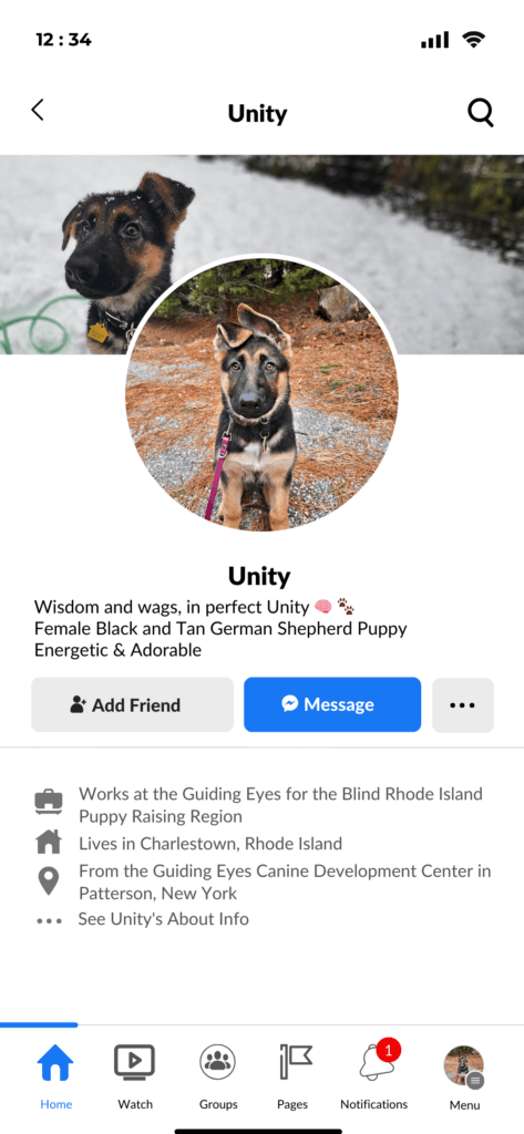Screenshot of a Facebook profile of Unity, a young female black and tan German Shepherd puppy. Unity's banner image depicts her sitting in the snow with a concerned expression, her gaze directed to the side of the camera, amidst the wintry landscape. The profile picture shows Unity on a hike, seated and facing the camera with a joyful expression, conveying happiness and contentment. Bio: Wisdom and wags, in perfect #Unity. About: Works at the Guiding Eyes for the Blind Rhode Island Puppy Raising Region. Lives in Charlestown, Rhode Island. From the Guiding Eyes Canine Development Center in Patterson, New York.