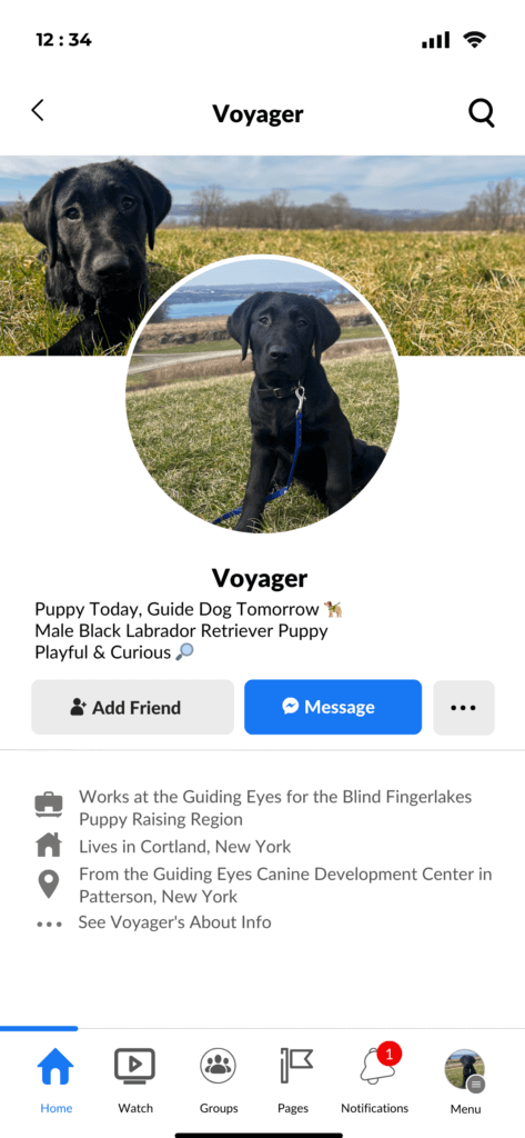 black Lab Voyager's Facebark page imitating the look of a Facebook page