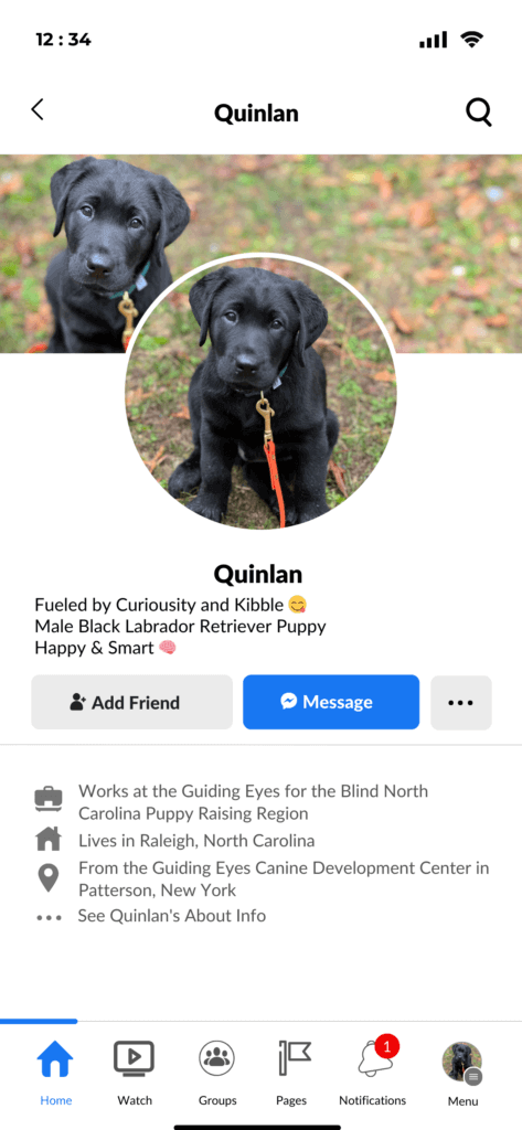 Black Lab Quinlan's Facebark page imitating the look of a Facebook page
