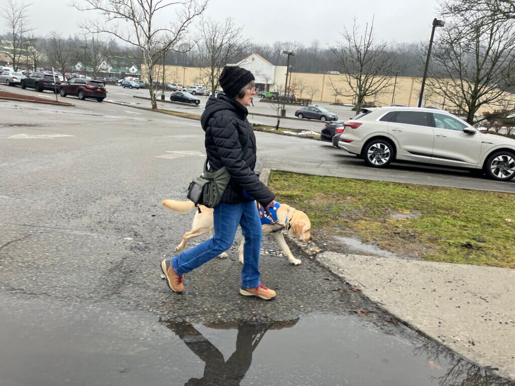 Aladdin guides Michele safely around a large puddle as they train during rainy spring