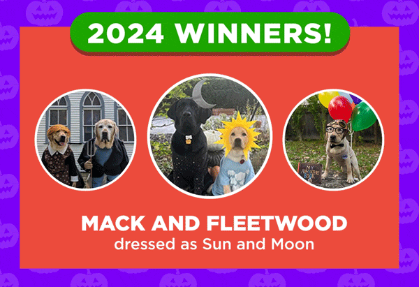 contest winners