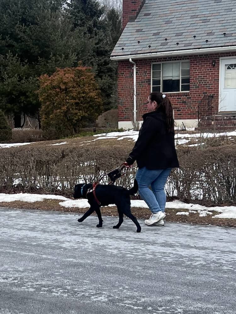 Melting snow remains on edges of the road where Tisha and Satya walk safely past a brick house.