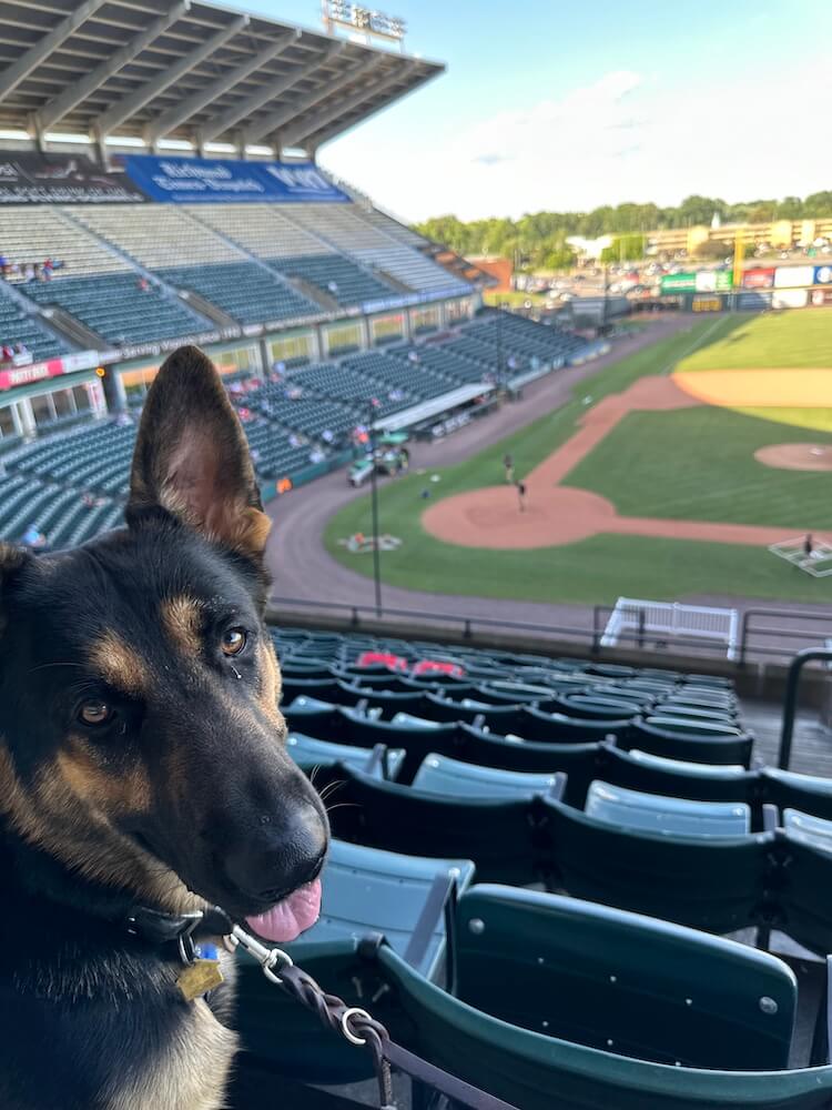 Woody is in upper rows of an empty stadium looking back over his shoulder