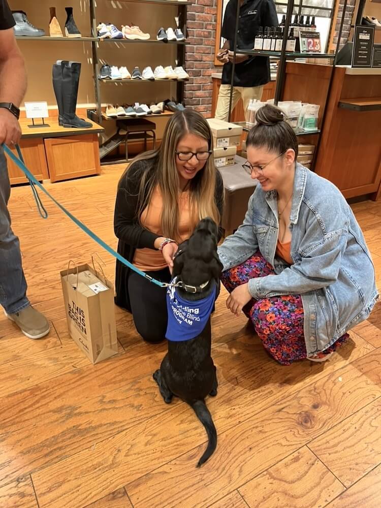 Puppy Jackie looking sweet in her blue bandana with her raiser meets an interested person in a shoe store and greets her politely