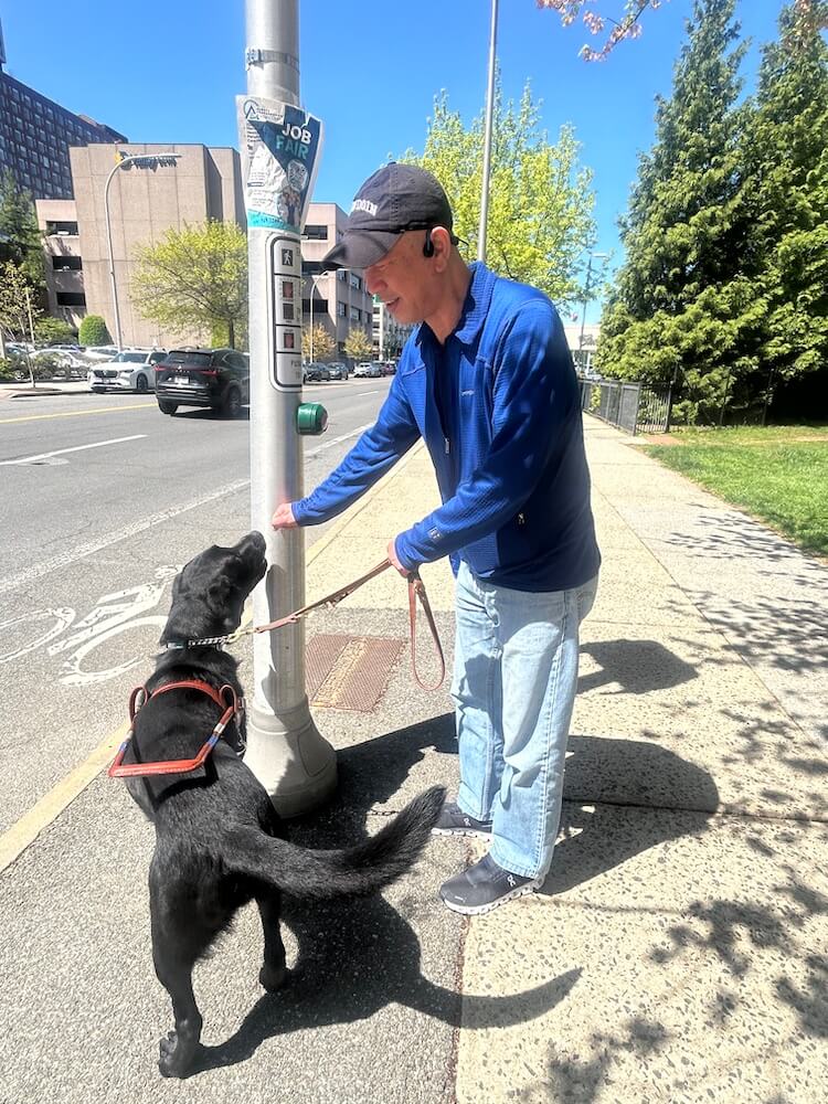 Allen touches the traffic pole as he and Rex practice targeting on a sunny day