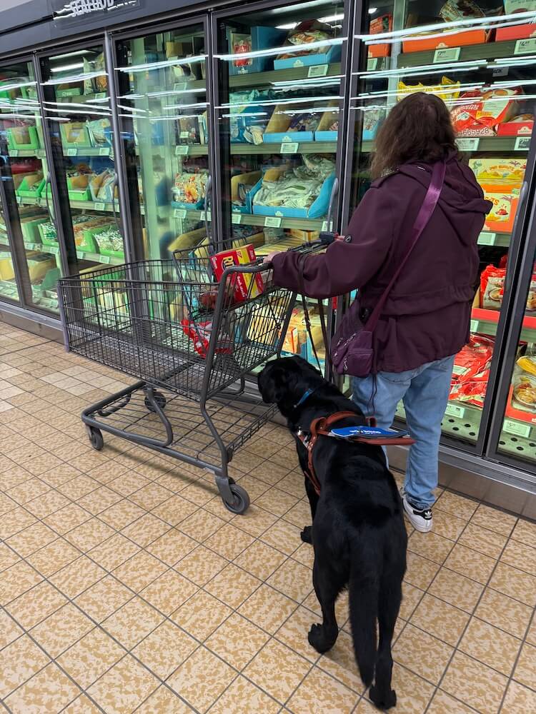 Rose pushes the card in the frozen food aisle and Vintage stays close by