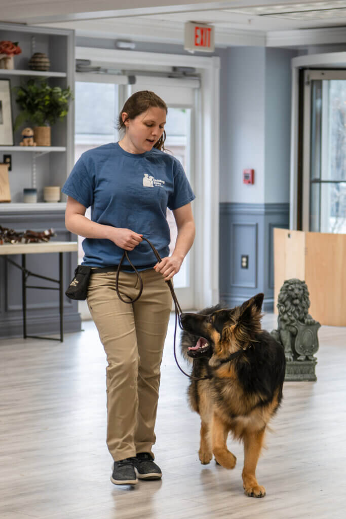 Trainer walks indoors with a German Shepherd in training on leash at her side.