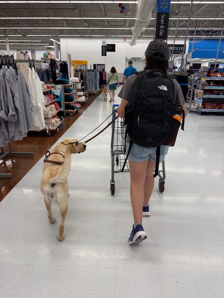 Ashlee pushes a cart in Walmart and guide Dream walks beside her on leash but checking in on her