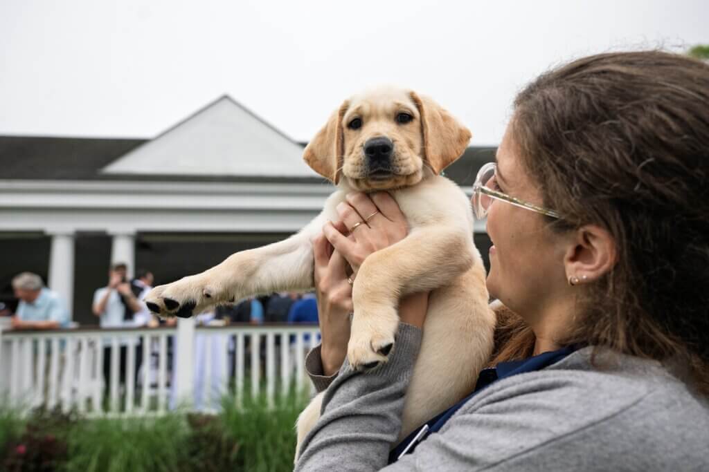 Person holds a Yellow Lab puppy up at an outdoor event.
