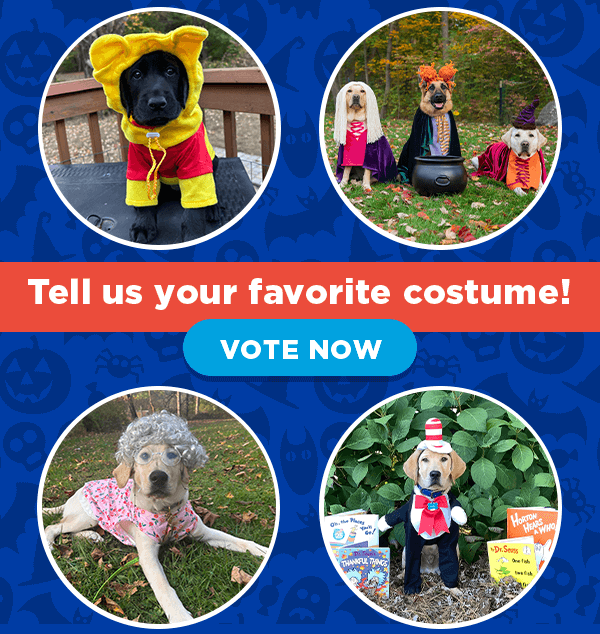 A graphic with four photos of dogs in Halloween costumes: a Lab as Winnie the Pooh, three Labs as Hocus Pocus witches, a Lab as a granny, and Lab as Dr. Seuss. Text reads: Tell us your favorite costume! Vote Now.