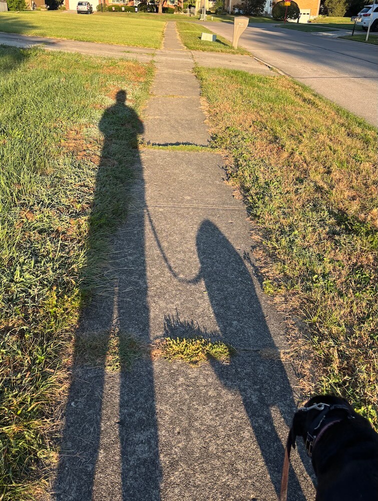 A long shadow of a person walking with a dog on leash and the black lab barely visible in bottom corner