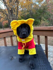 Winnie