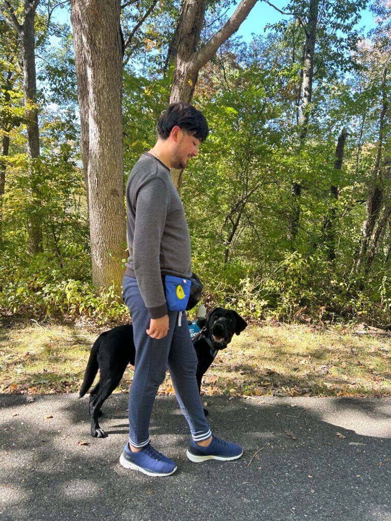 Fudge is checking in as he and handler Christian walk down a path next to the woods