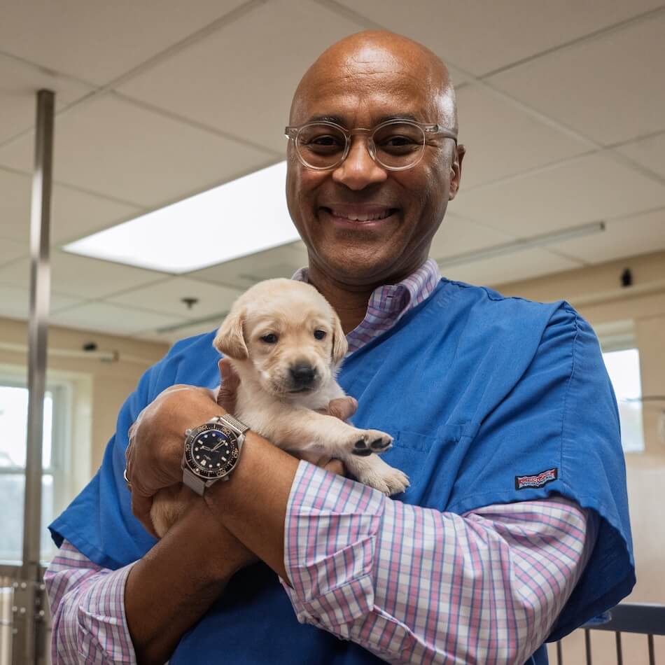 Christopher Perry President and CEO wears blue scrubs over his clothing to hold a tiny yellow puppy in the Whelping Kennel