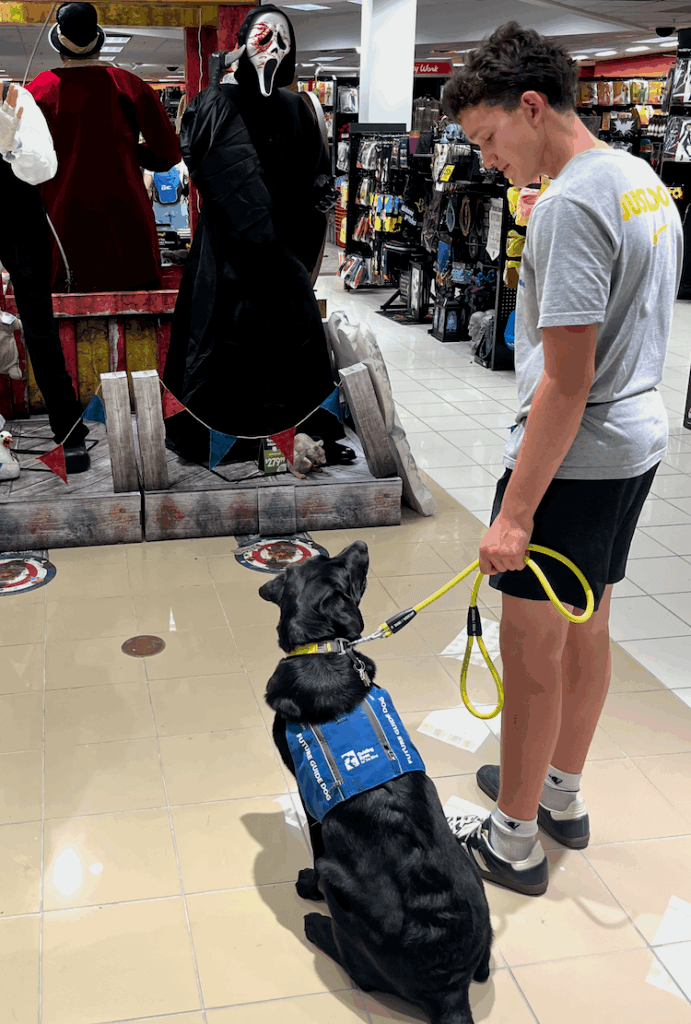 At a scary Halloween store display, Vega looks up to check in on her raiser