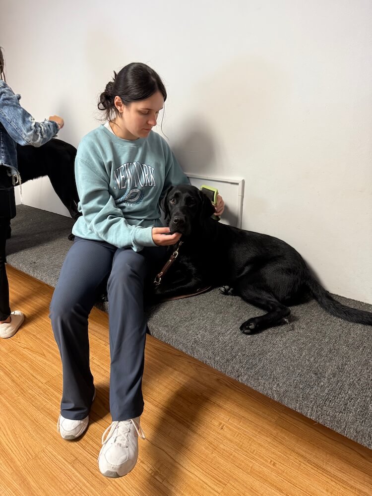 Olivia sits next to Omari who is lying down on the grooming bench patient while being brushed