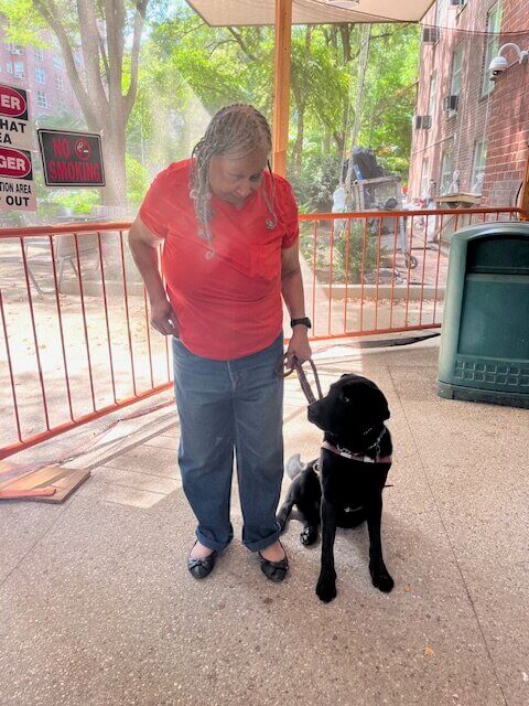 Vega looks up to Sandra as she reaches for her treat pouch outside