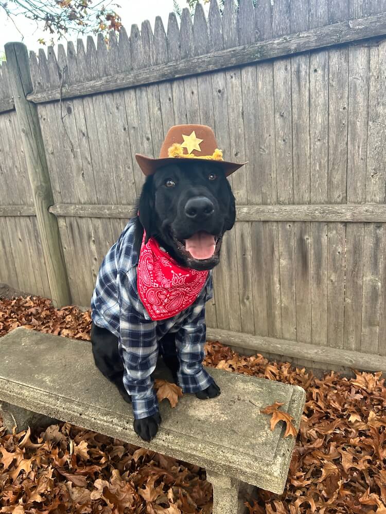 Fabian wears a cowboy outfit complete with hat and bandana