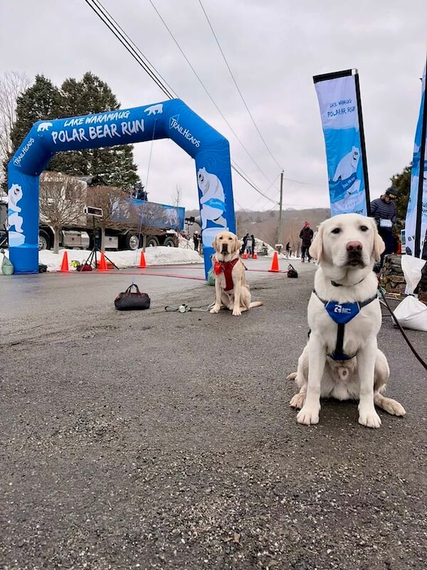 Pup Polar in a Future Guide Dog vest poses sits with the inflated PBR finish line in the background