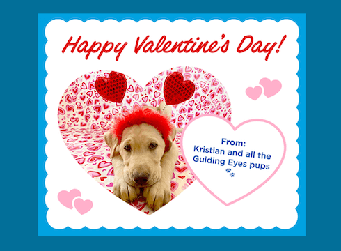 Valentine’s Day graphic with a yellow Labrador puppy wearing a red fuzzy headband inside a heart filled with pink and red heart patterns. Text reads: Happy Valentine’s Day! From Kristian and all the Guiding Eyes pups. With small paw prints beside the text.