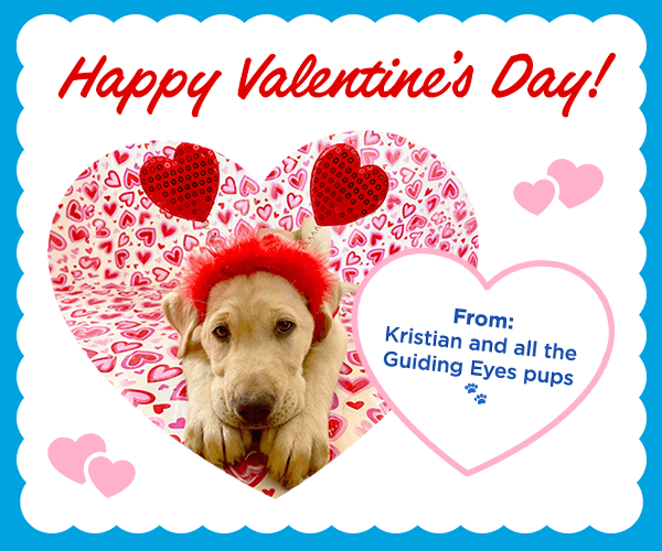 Valentine’s Day graphic with a yellow Labrador puppy wearing a red fuzzy headband inside a heart filled with pink and red heart patterns. Text reads: Happy Valentine’s Day! From Kristian and all the Guiding Eyes pups. With small paw prints beside the text.
