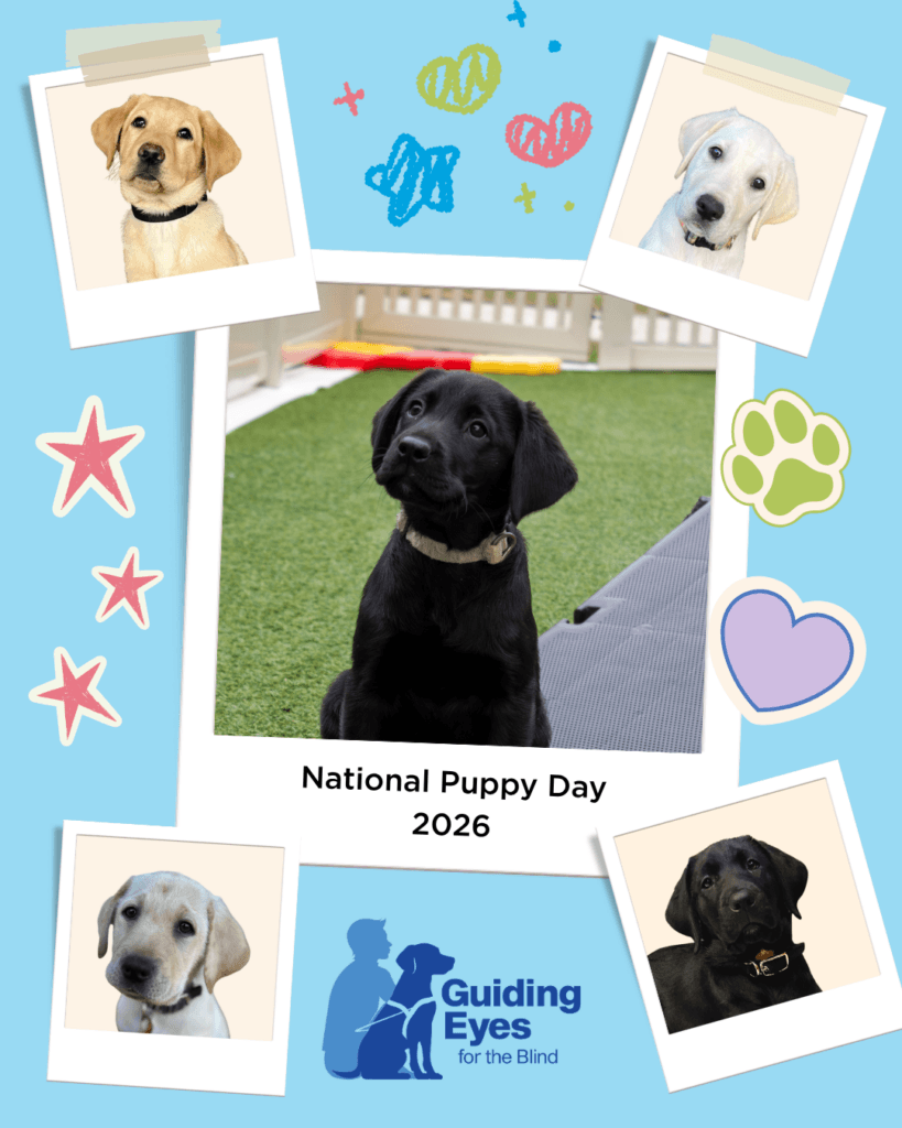 A “National Puppy Day 2026” graphic shows Labrador retriever puppies in taped Polaroid-style photos on a light blue background with doodled hearts, stars, and a paw print. In the center is a larger photo of a black Lab puppy on green turf, and at the bottom is the two-tone Guiding Eyes logo.