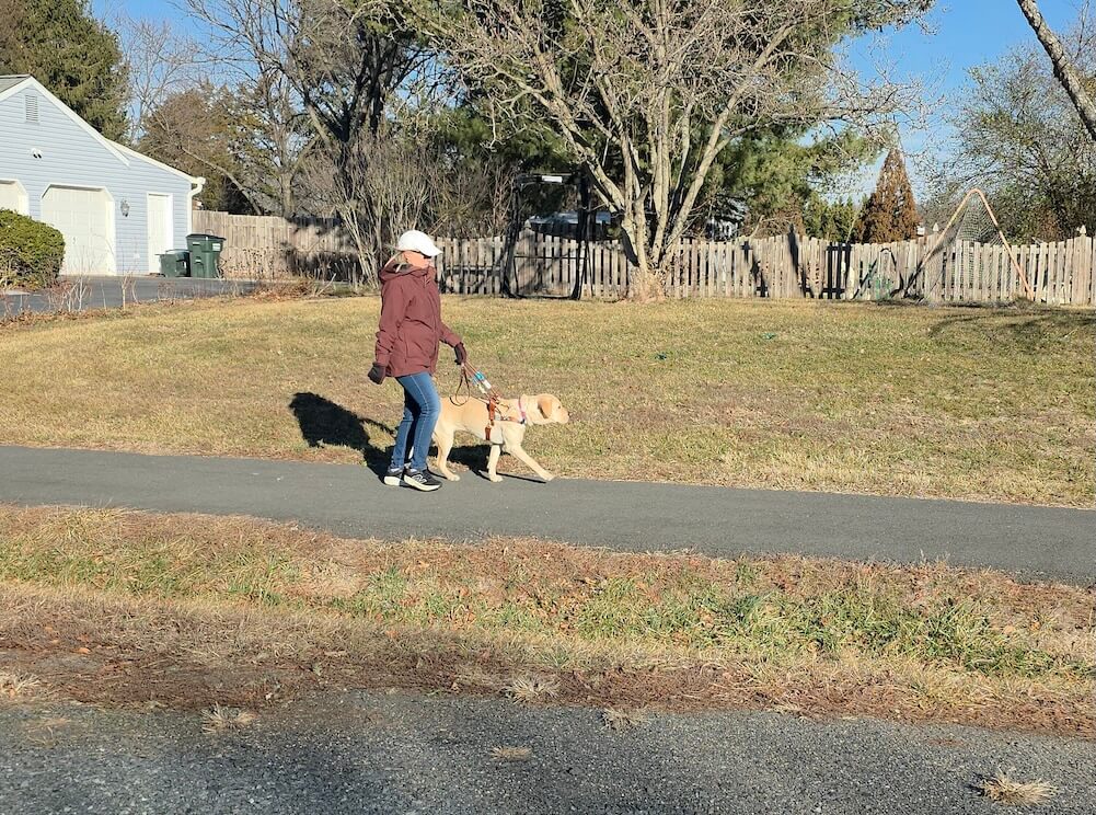 Carol and Mia walk confidently down a sidewalk with wintered grass on either side