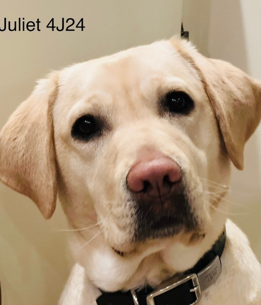 a close up of Juliet looking directly into camera