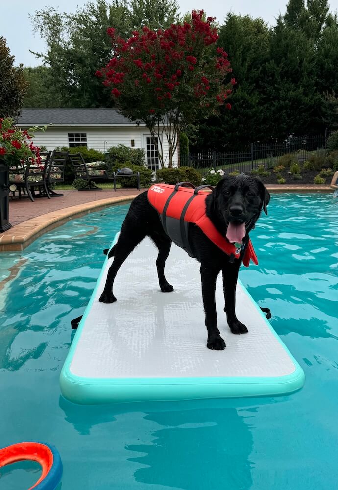 Finnegan wears a life vest and stands on a floating board in a rich blue pool