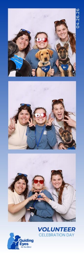 A strip of 3 photos -volunteers and staff posed with humorous accessories in the photo booth