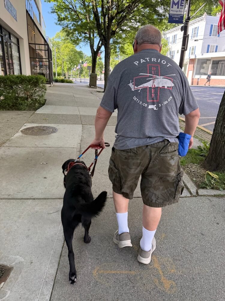 Quirrel leads Don safely down a street with storefronts and landscaping obstacles