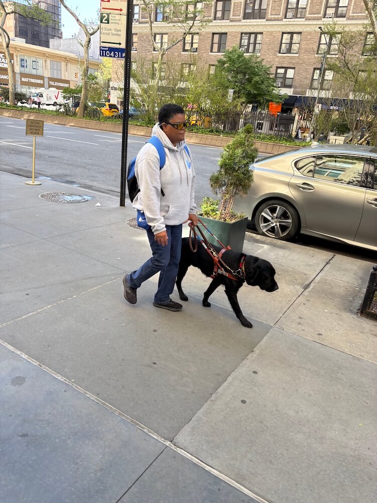 Elnora is led safely down an urban street full of obstacles by Poncho