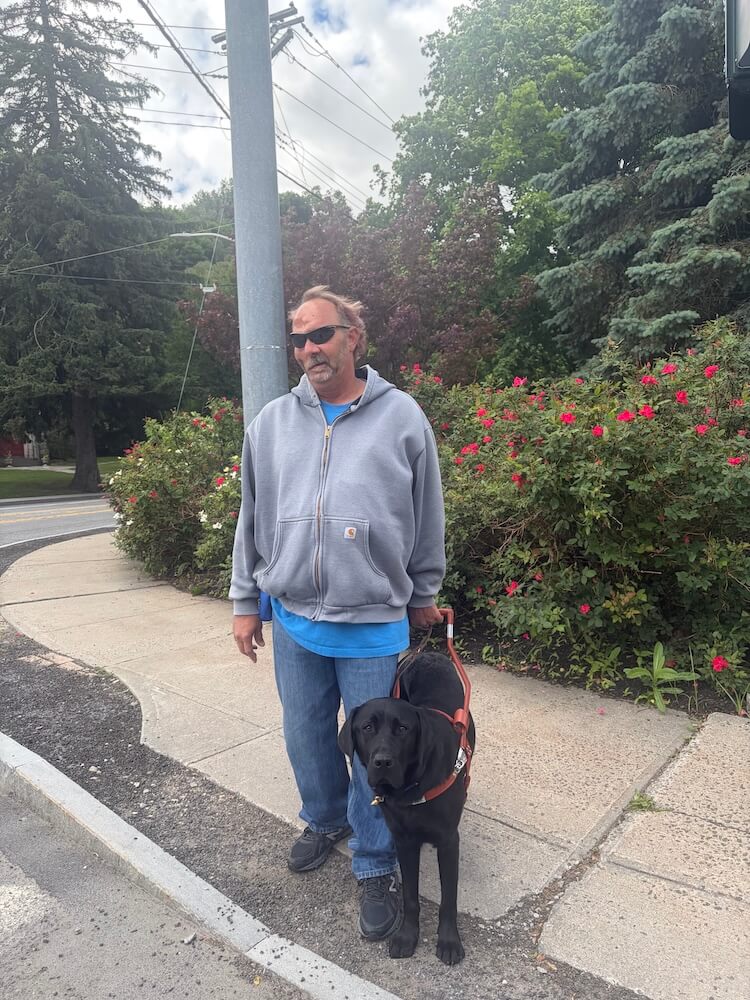 Spencer and guide Commander pause at the edge of a sidewalk curb just past a curve