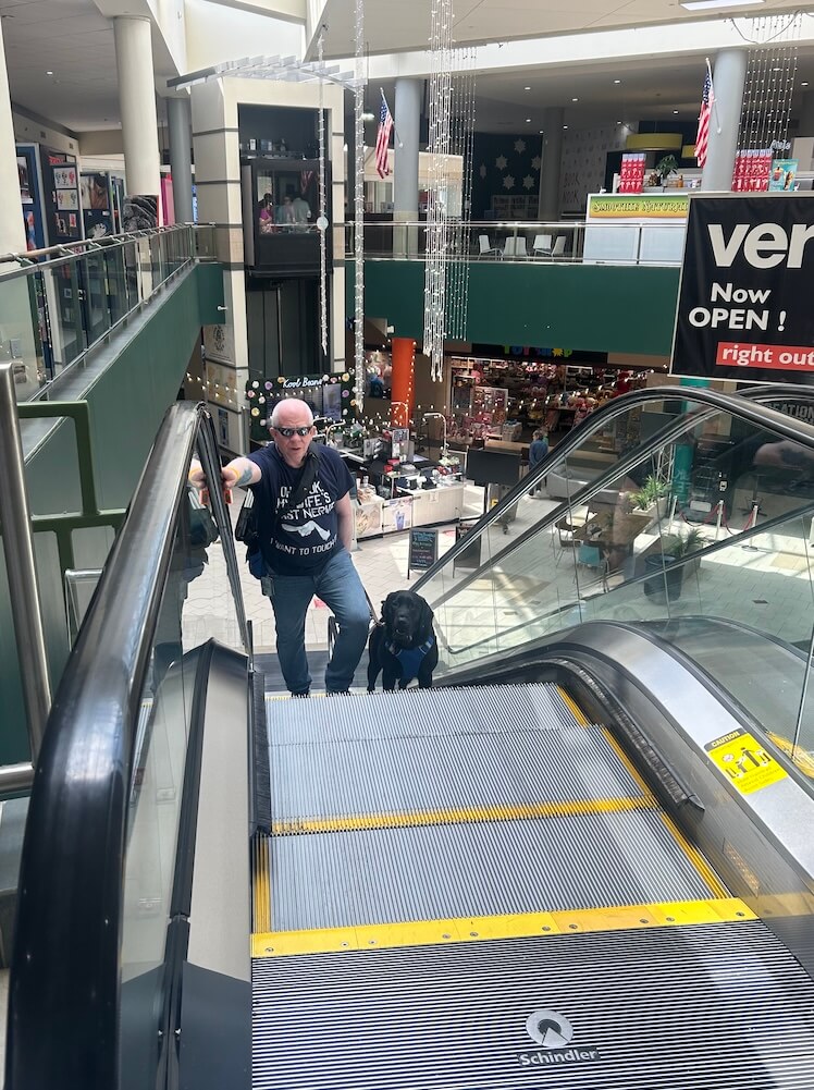 Willie and guide Bono safely come up the escalator at the mall together
