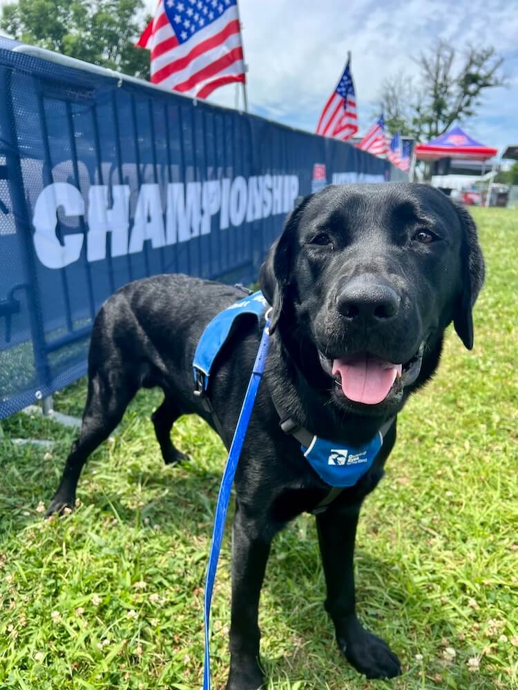 Black pup Yacht stands proudly in her blue Future Guide Dog vest in front of a blue banner that says Championship