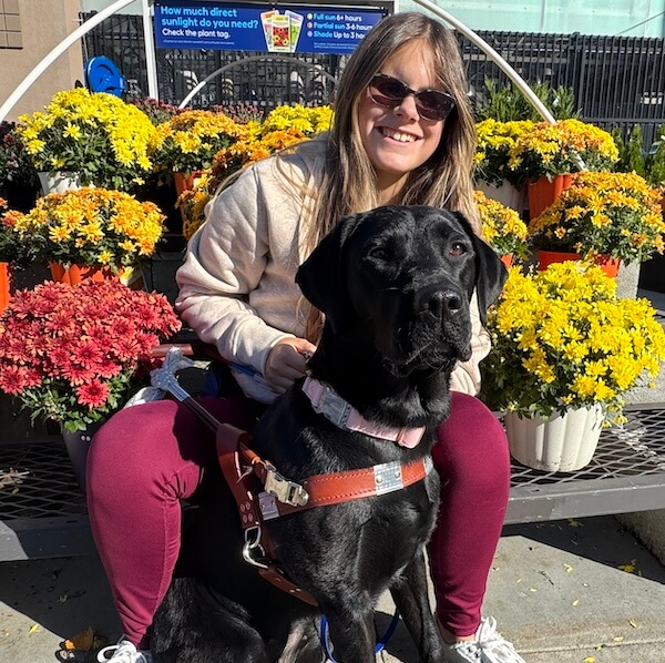 A female handler sits on a metal display with colorful fall mums and her black lab guide in front of her