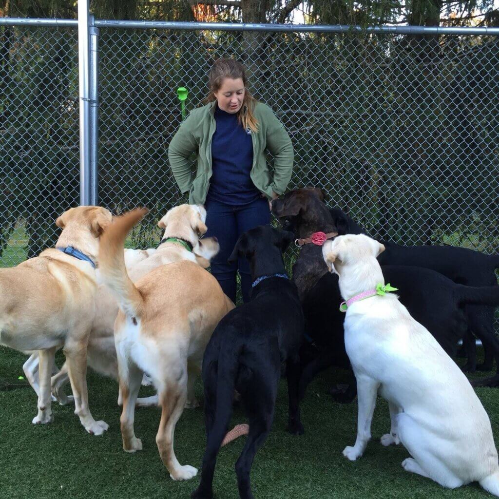Allie Greenberg stands in the fenced turf play area surrounded by a group of staff dogs, including her brindle pet dog, Maple. Gathered closely around her, the dogs all have their attention focused on Allie.