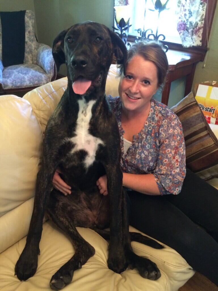 Allie Greenberg sits on a couch beside her brindle pet dog, Maple, who is seated upright next to her with her tongue out. Allie smiles at the camera with one arm around Maple.