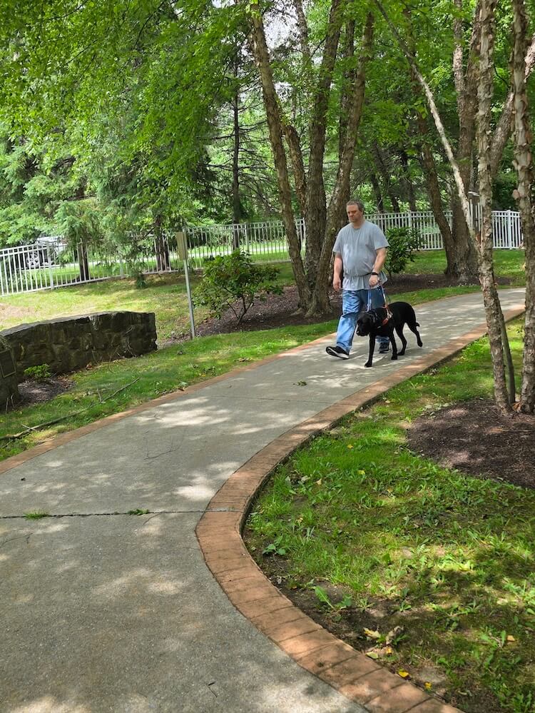 Joe and Taco take a leisurely walk along the shaded campus Nature Path
