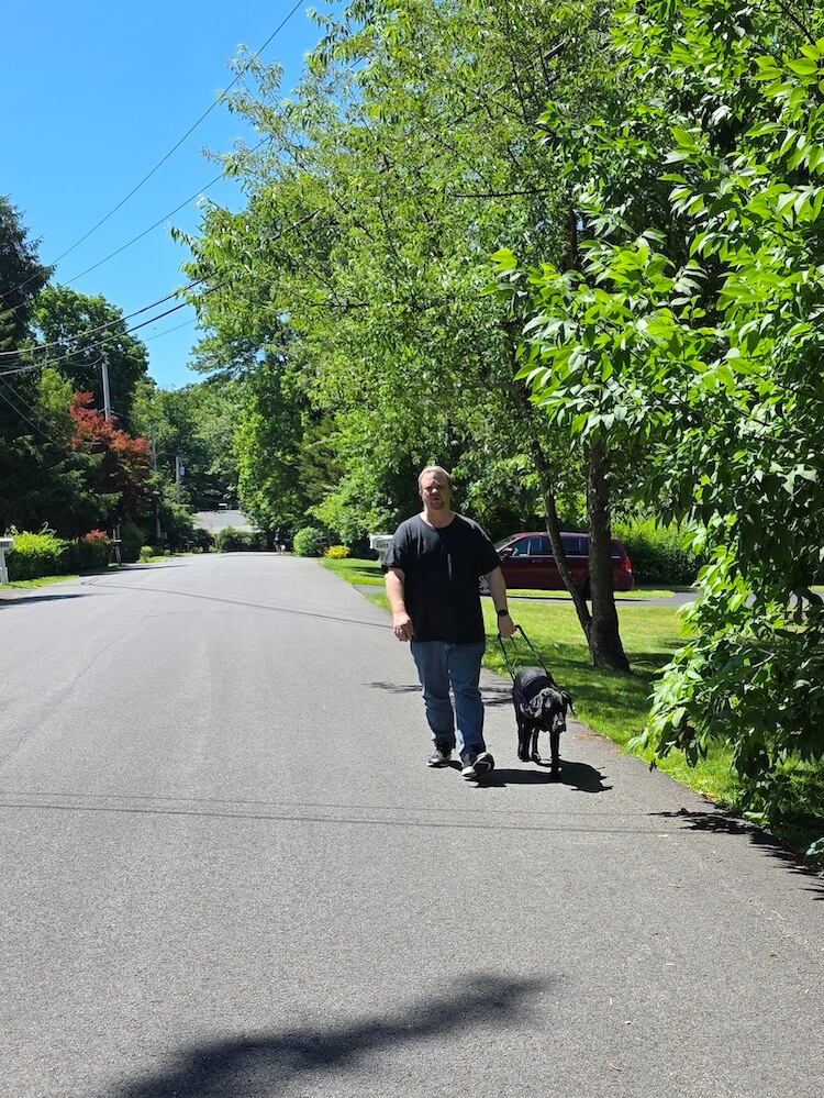 Taco leads handler Joe down a tree lined street