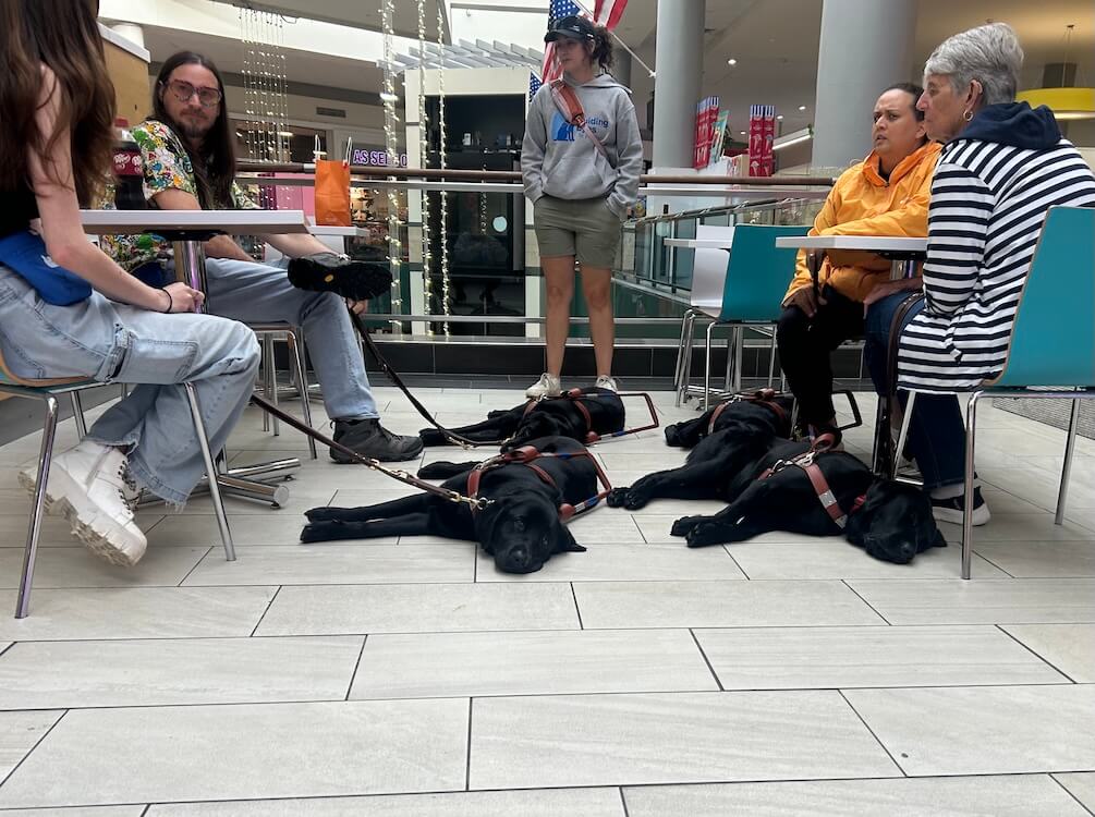 Robin sits with her classmates at tables in the mall with Yacht and other guides resting on the floor